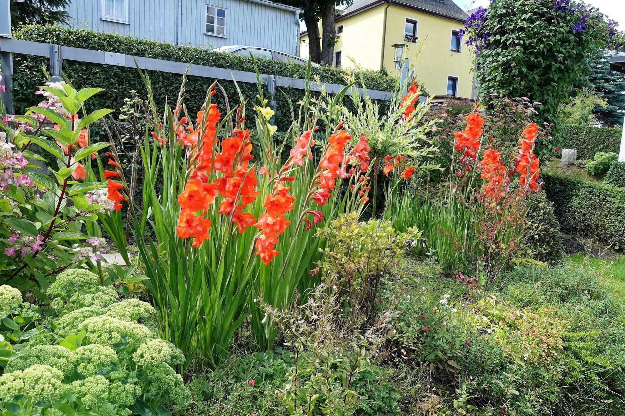 Ferienwohnung Haus Feig Geyer Exterior foto